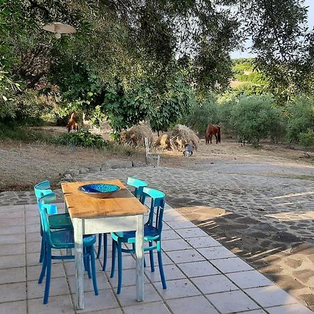 Bed and Breakfast Sa Ruscitta Сант-Антиоко Экстерьер фото